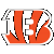 Cincinnati Bengals Cincinnati Bengals