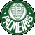 Palmeiras Palmeiras